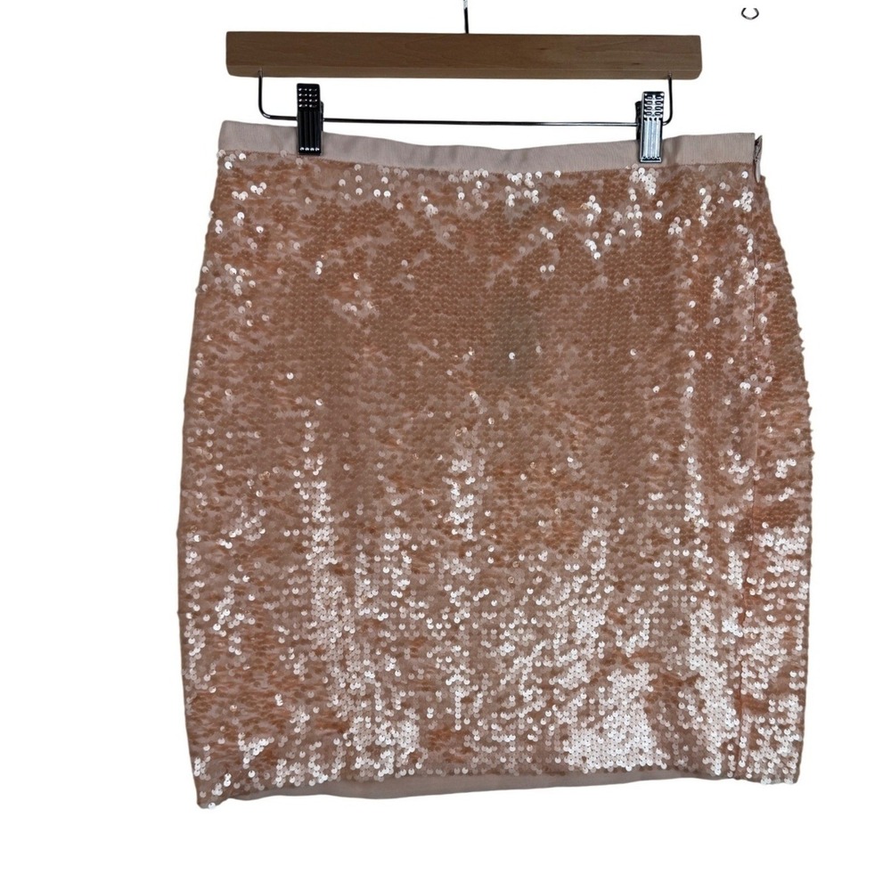 NWT Ann Taylor LOFT‎ Petites Women's Peach Sequin Skirt Size 10P
